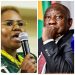 Pressure mount in for President Cyril Ramaphosa to fire minister Lindiwe Zulu