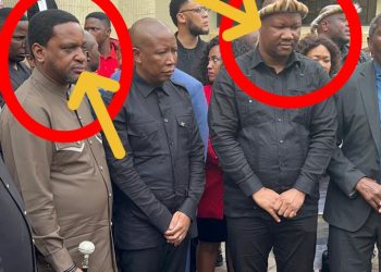 Look Where Malema Was Spotted With King Misuzulu But See What Is Beside Him