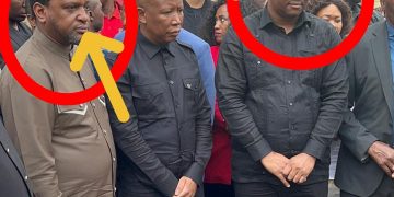 Look Where Malema Was Spotted With King Misuzulu But See What Is Beside Him
