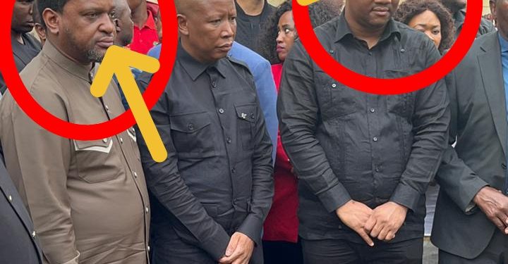 Look Where Malema Was Spotted With King Misuzulu But See What Is Beside Him