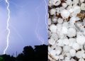 Potential Hailstorms and Floods Threaten Sunday and Monday in South Africa