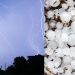 Potential Hailstorms and Floods Threaten Sunday and Monday in South Africa