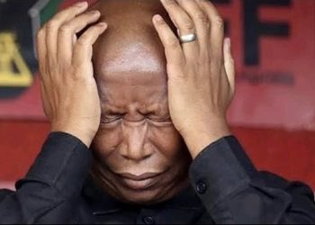 Backlash for Malema as another Bigwig allegedly ditches EFF for Zuma’s Mk party