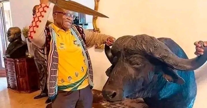 “Zuma Is A Hairy Monster And Gilikanqo: Look What He Did That Left His Enemies In Tears