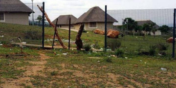 Is MK Party Jacob Zuma’s House Falling Apart? See Pictures below