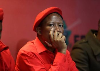 “He finished himself with his own mouth” — Reactions As Ngizwe Wants To Do This Against Malema