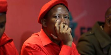 “He finished himself with his own mouth” — Reactions As Ngizwe Wants To Do This Against Malema