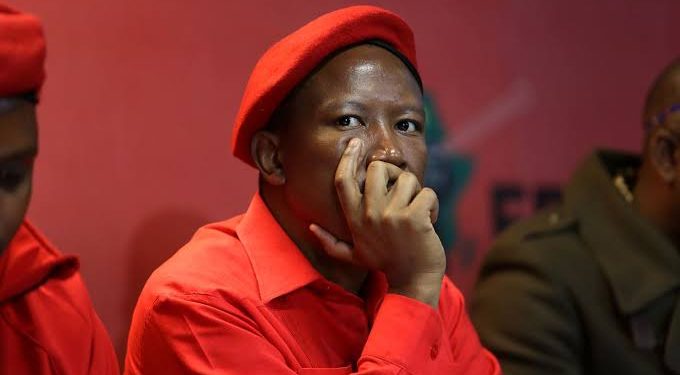 “He finished himself with his own mouth” — Reactions As Ngizwe Wants To Do This Against Malema