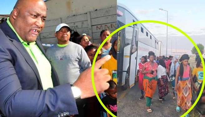 Busses Carrying Illegal Foreigners Must be impounded Says Gayton After This Happened