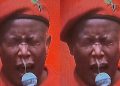 “It Was Sinuses” Malema Reacts As Photo Of His Runny Nose Goes Viral