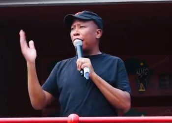 “See What Malema said about Cyril Ramaphosa and the Oncoming Election