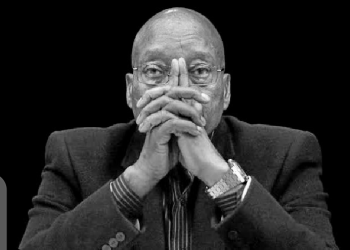 The people are not falling for the propaganda around Zuma this time round