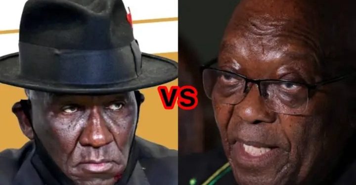 Bheki cele, Zuma digging up his own grave and l will not be surprised if he ended up as a councillor