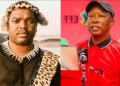 Ngizwe Mchunu Want To Teach Malema A Lesson In A Hard Way, Look What He Plans To Do On EFF Manifesto