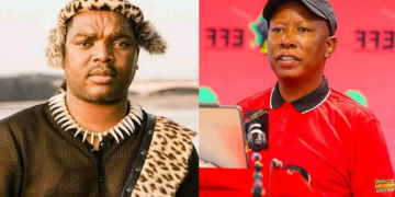 Ngizwe Mchunu Want To Teach Malema A Lesson In A Hard Way, Look What He Plans To Do On EFF Manifesto