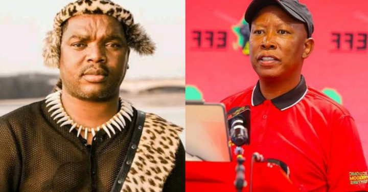 Ngizwe Mchunu Want To Teach Malema A Lesson In A Hard Way, Look What He Plans To Do On EFF Manifesto