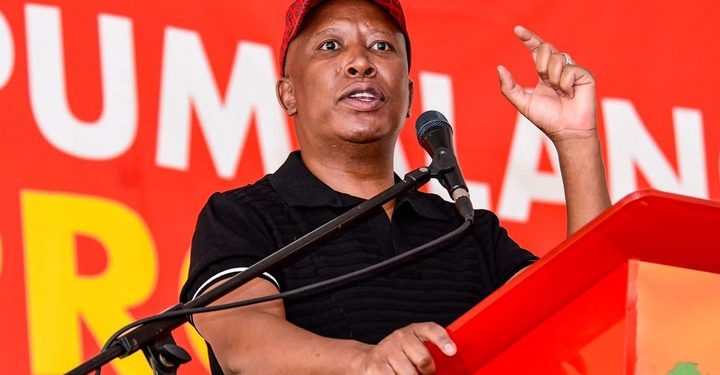 Malema says Naledi’s letter has distracted members, making them lose focus on their duties