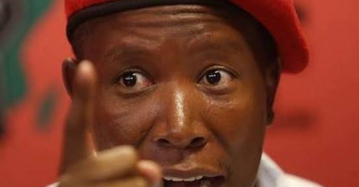 “Soon, South Africans Will Become Beggars In Zimbabwe, Malema Warns SA Amid Zimbabwe Sactions Lift