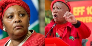 “They Found A Louis Vuitton Bag Worth R400 000 When They Raided The Home Of Nosiviwe” Says Malema
