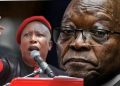 Zuma and Malema Top NPA’s Most Wanted List. Check what they did that got them on the list