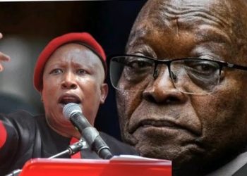 Zuma and Malema Top NPA’s Most Wanted List. Check what they did that got them on the list