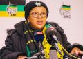 Gloves Off|| ANCWL Treasurer General, Maqueen Is Allegedly Lobbying To Become Premier Of Free State