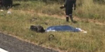 Hijacker Shot Dead by Truck Driver on N3 – Heidelberg