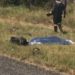Hijacker Shot Dead by Truck Driver on N3 – Heidelberg