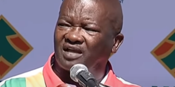 “Our SANDF Troops Are In Big Trouble” – Deputy Minister Of Defence, Bantu Holomisa Cries Out In Pain