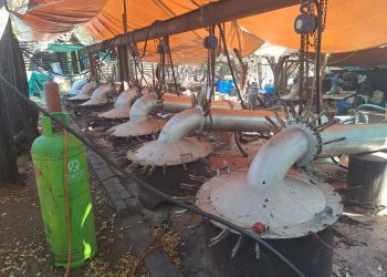 5 Arrested in R2 Billion Drug Bust in Limpopo