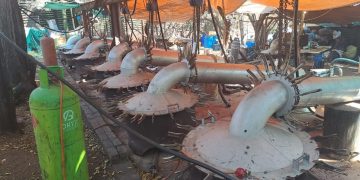 5 Arrested in R2 Billion Drug Bust in Limpopo