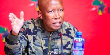 Julius Malema Legal Action Over VBS Allegations