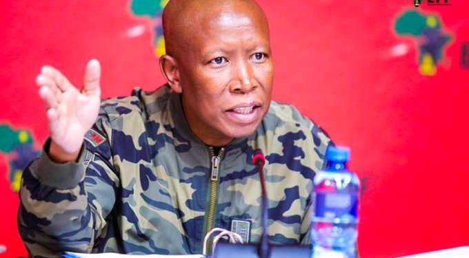 Julius Malema Legal Action Over VBS Allegations