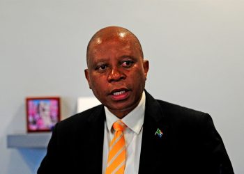 Herman Mashaba Calls For KZN Police Commissioner Mkhwanazi To Intervene In EC Crime Surge
