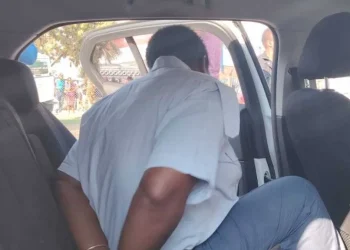 Limpopo Female Police Officer Arrested for Allegedly Murdering Six for Insurance Fraud