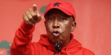 EFF Member Warns Malema Against Imposing Deputy Choice Amid Branch Tensions