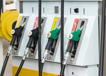 Minister Gwede Mantashe Urges Fuel Price Reduction, Calls for Re-evaluation of Levies and Taxes