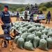 Police Seize R4.7 Million Worth of Dagga in Major Mpumalanga Drug Bust