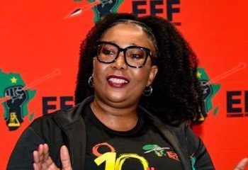 EFF MP Revives Claims of IEC Bias Amid Allegations of ANC Campaign Presence