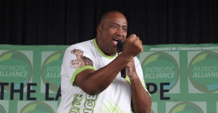 Sport Minister Gayton McKenzie Defends Busisiwe Mkhwebane Amid Racism Accusations, Sparks Political Clash