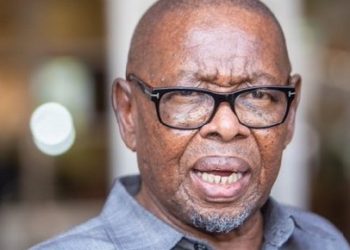 Minister Nzimande Responds to Resignation Calls Amid Controversy