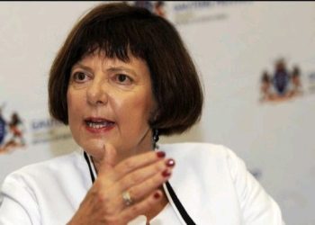 Transport Minister Barbara Creecy Calls for Overhaul of Taxi Recapitalization Programme Amid Affordability Concerns