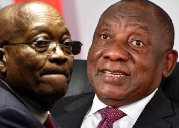 Inefficient ANC Branches Blamed for Poor 2024 Election Performance, Says Fikile Mbalula