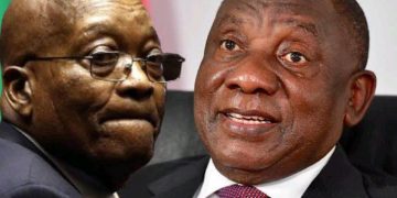 Inefficient ANC Branches Blamed for Poor 2024 Election Performance, Says Fikile Mbalula