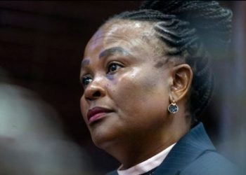 Courtroom Chaos: Counsel for Ms. Mkhwebane Struggles As Legal Proceedings Intensify