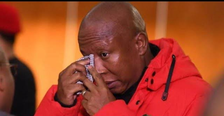 Two Senior EFF Leaders Resign, Aligning with Jacob Zuma’s MK Party Amid Internal Tensions