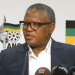 Mbalula Condemns EFF Leaders’ Push for Unity Government Without ANC