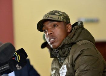 Allegations Surface Against Nhlanhla Lux Over Foreign National Protection Fees