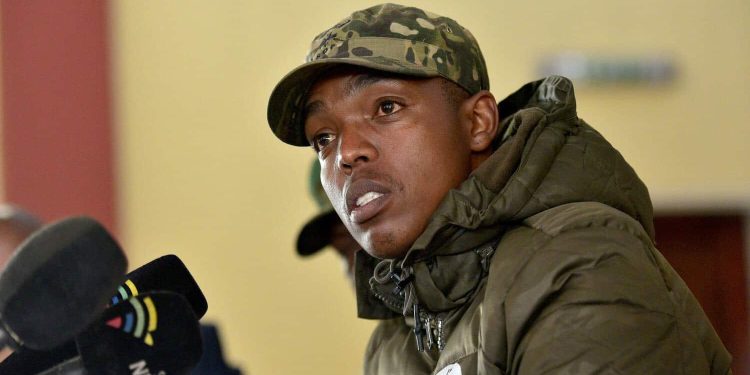 Allegations Surface Against Nhlanhla Lux Over Foreign National Protection Fees