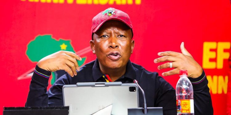 Live | Julius Malema to address EFF Press Conference